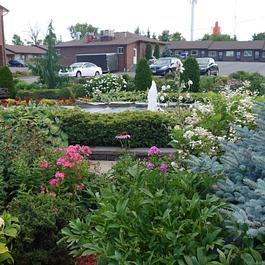 Garden area with shrubs and flowers