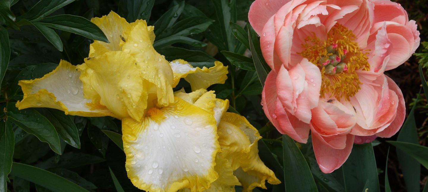 Newmarket Inn | East Gwillimbury, Ontario, L9N 0J2 | 4