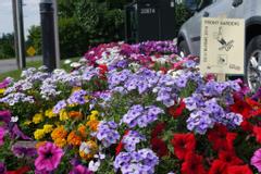 Newmarket Inn | East Gwillimbury, Ontario, L9N 0J2 | Light purple, pink and red flowers