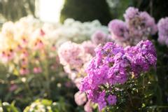 Newmarket Inn | East Gwillimbury, Ontario, L9N 0J2 | Photos 3